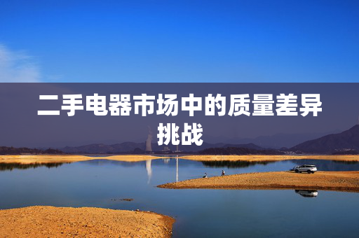 二手电器市场中的质量差异挑战
