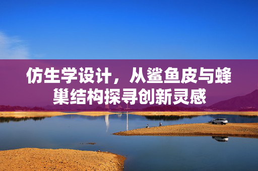 仿生学设计，从鲨鱼皮与蜂巢结构探寻创新灵感