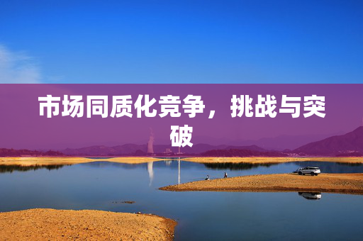 市场同质化竞争，挑战与突破