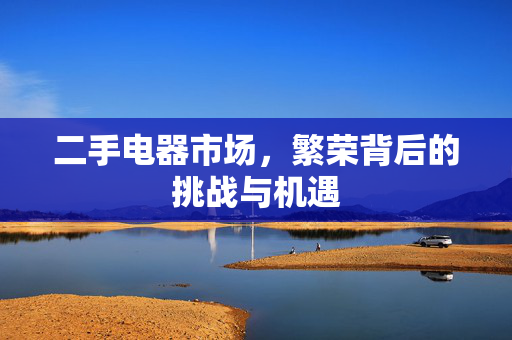 二手电器市场，繁荣背后的挑战与机遇