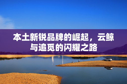 本土新锐品牌的崛起，云鲸与追觅的闪耀之路