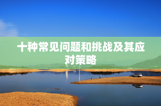 十种常见问题和挑战及其应对策略
