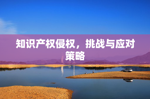 知识产权侵权，挑战与应对策略