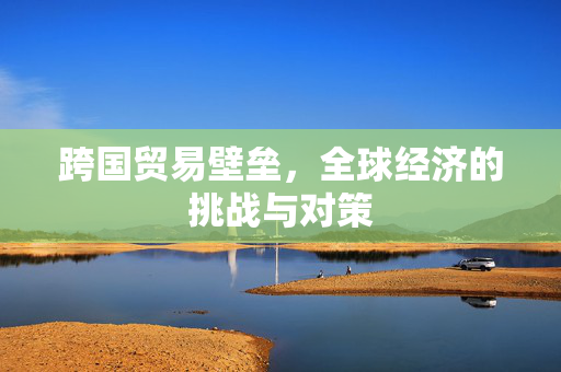 跨国贸易壁垒，全球经济的挑战与对策