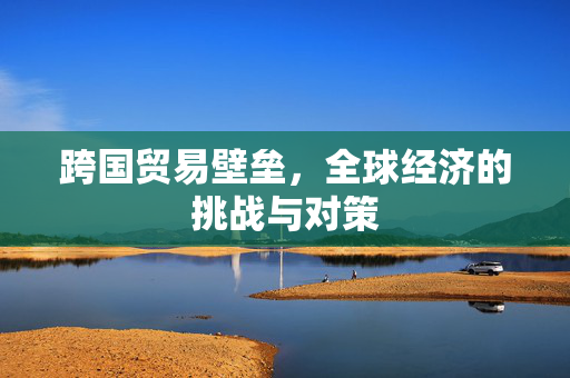 跨国贸易壁垒，全球经济的挑战与对策