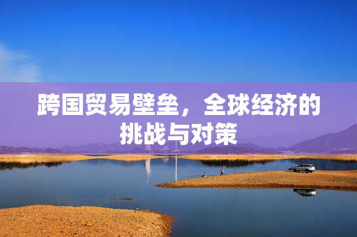 跨国贸易壁垒，全球经济的挑战与对策