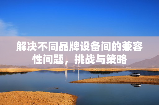 解决不同品牌设备间的兼容性问题，挑战与策略