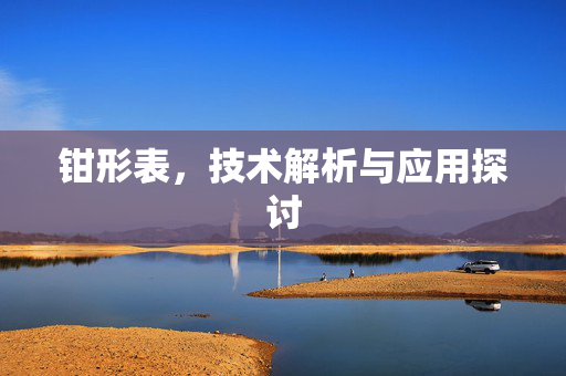 钳形表，技术解析与应用探讨