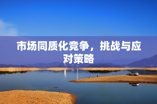 市场同质化竞争，挑战与应对策略