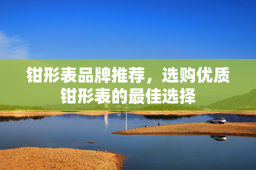 钳形表品牌推荐，选购优质钳形表的最佳选择