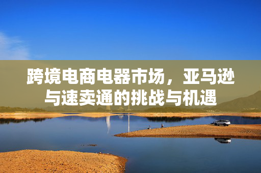 跨境电商电器市场，亚马逊与速卖通的挑战与机遇