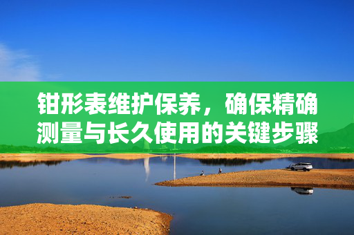 钳形表维护保养，确保精确测量与长久使用的关键步骤