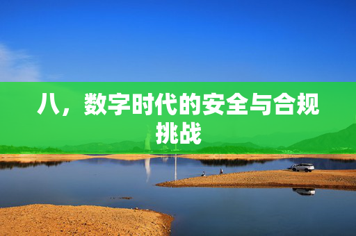 八，数字时代的安全与合规挑战