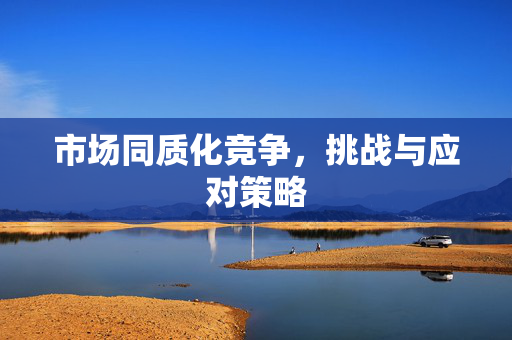 市场同质化竞争，挑战与应对策略