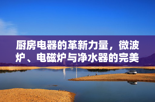 厨房电器的革新力量，微波炉、电磁炉与净水器的完美结合