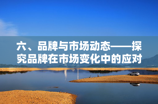 六、品牌与市场动态——探究品牌在市场变化中的应对策略