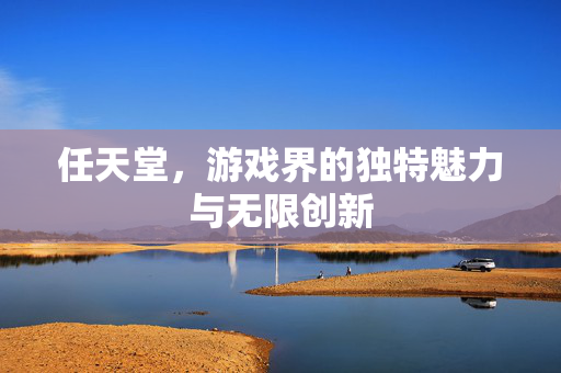 任天堂，游戏界的独特魅力与无限创新