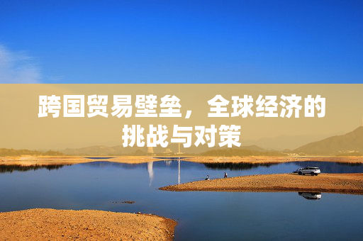 跨国贸易壁垒，全球经济的挑战与对策