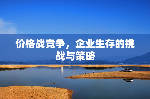 价格战竞争，企业生存的挑战与策略
