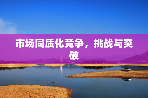 市场同质化竞争，挑战与突破