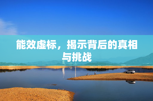 能效虚标，揭示背后的真相与挑战
