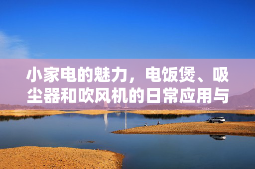 小家电的魅力，电饭煲、吸尘器和吹风机的日常应用与选择