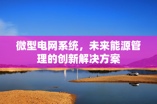 微型电网系统，未来能源管理的创新解决方案