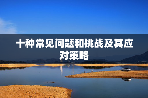 十种常见问题和挑战及其应对策略