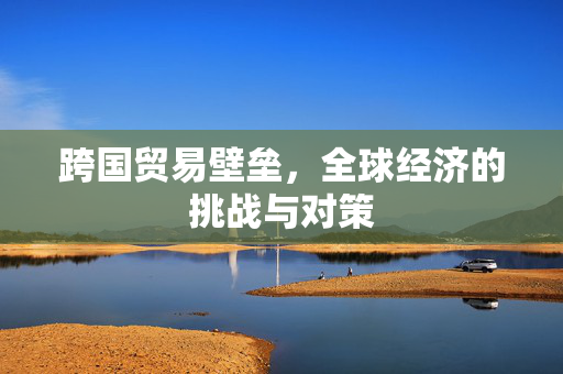 跨国贸易壁垒，全球经济的挑战与对策