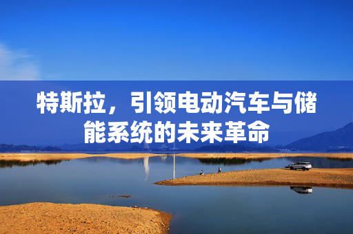 特斯拉，引领电动汽车与储能系统的未来革命