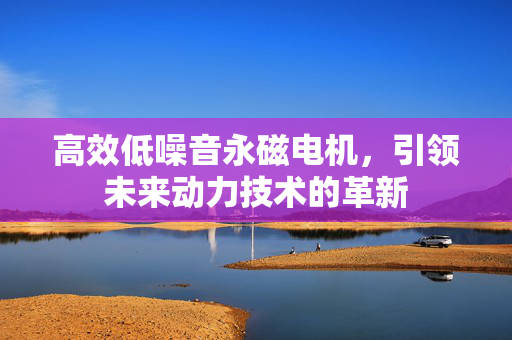 高效低噪音永磁电机，引领未来动力技术的革新