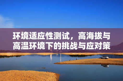 环境适应性测试，高海拔与高温环境下的挑战与应对策略