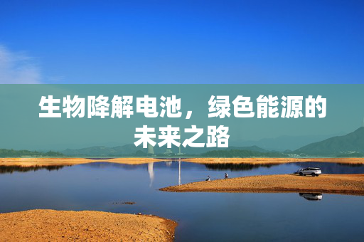 生物降解电池，绿色能源的未来之路