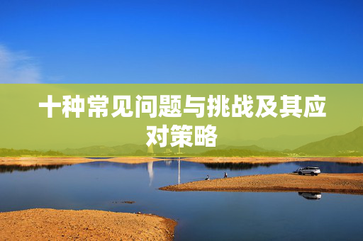 十种常见问题与挑战及其应对策略