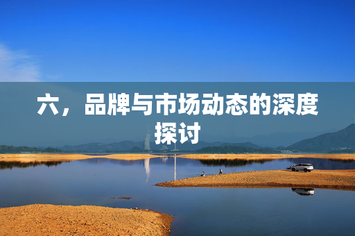 六，品牌与市场动态的深度探讨
