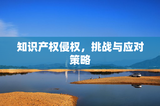知识产权侵权，挑战与应对策略