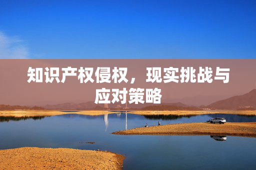 知识产权侵权，现实挑战与应对策略