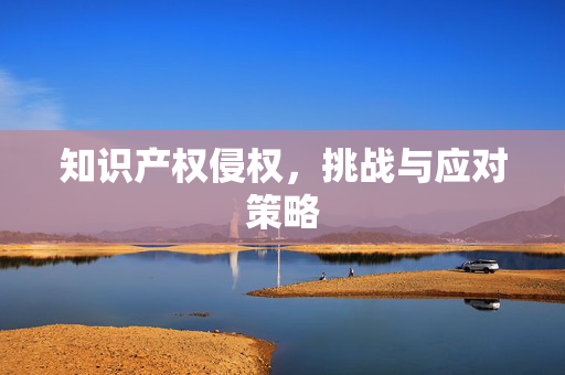 知识产权侵权，挑战与应对策略