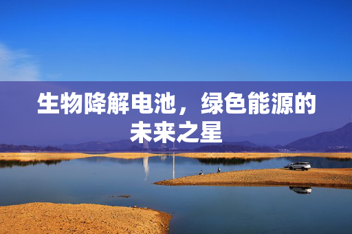 生物降解电池，绿色能源的未来之星
