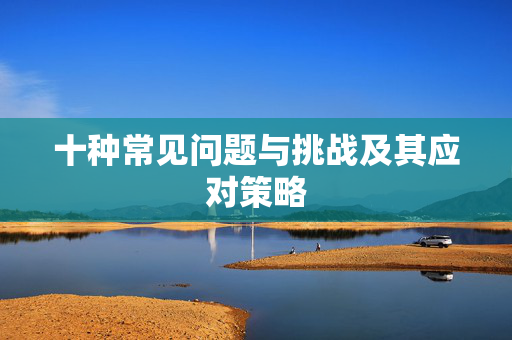 十种常见问题与挑战及其应对策略