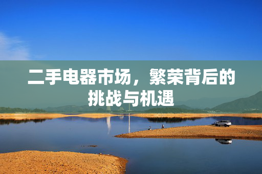 二手电器市场，繁荣背后的挑战与机遇