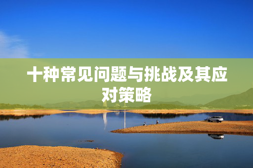 十种常见问题与挑战及其应对策略