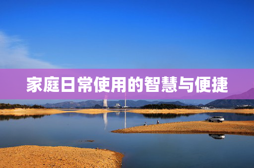 家庭日常使用的智慧与便捷