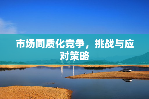 市场同质化竞争，挑战与应对策略