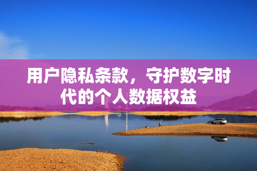 用户隐私条款，守护数字时代的个人数据权益