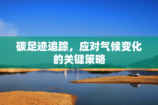 碳足迹追踪，应对气候变化的关键策略