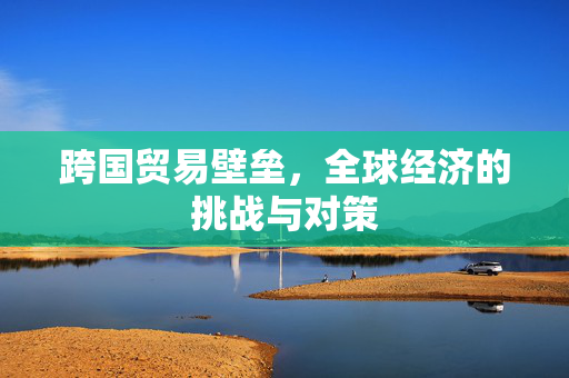 跨国贸易壁垒，全球经济的挑战与对策