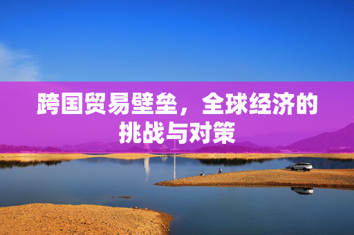 跨国贸易壁垒，全球经济的挑战与对策