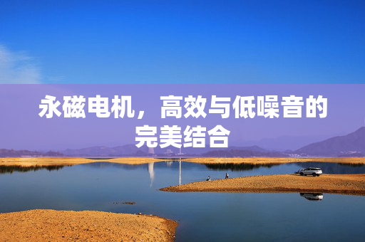 永磁电机，高效与低噪音的完美结合