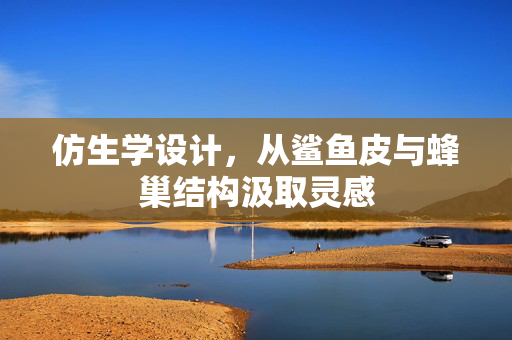仿生学设计，从鲨鱼皮与蜂巢结构汲取灵感